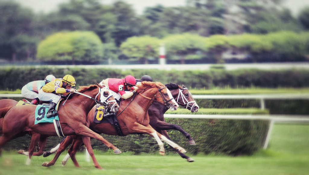 Software Evaluation 5 Steps to Pick a Winner
