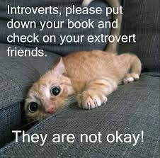 introverts